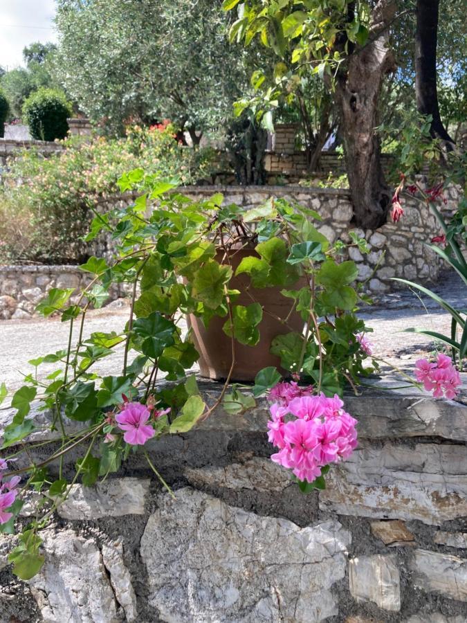 Aliki'S Comfortable Holiday Apartments-Great Location Nisaki  外观 照片